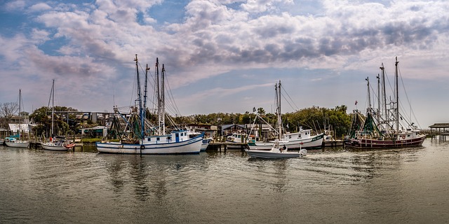 lawyer,lawsuit,South Carolina