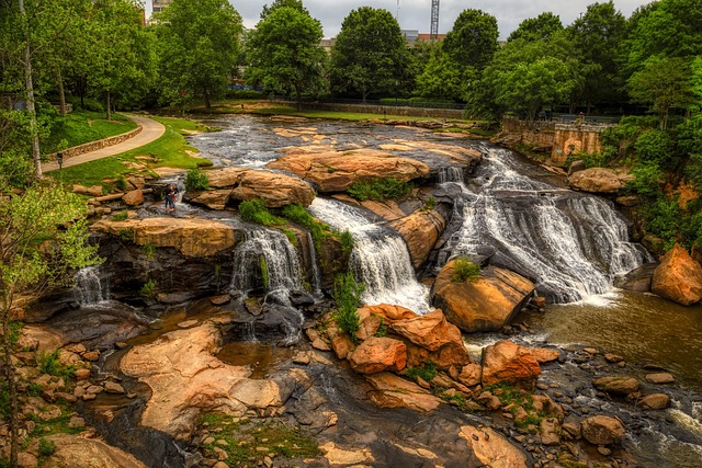 lawyer,lawsuit,South Carolina