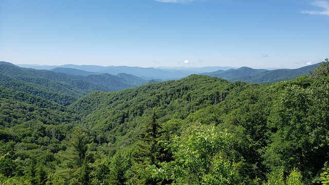 lawyer,lawsuit,South Carolina