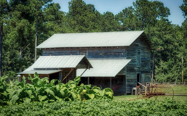 lawyer,lawsuit,South Carolina