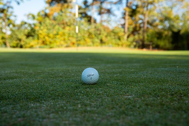 lawyer,lawsuit,St. Louis MO