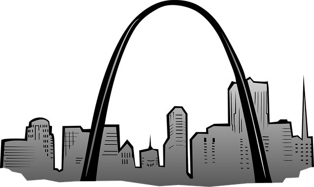 lawyer,lawsuit,St. Louis MO