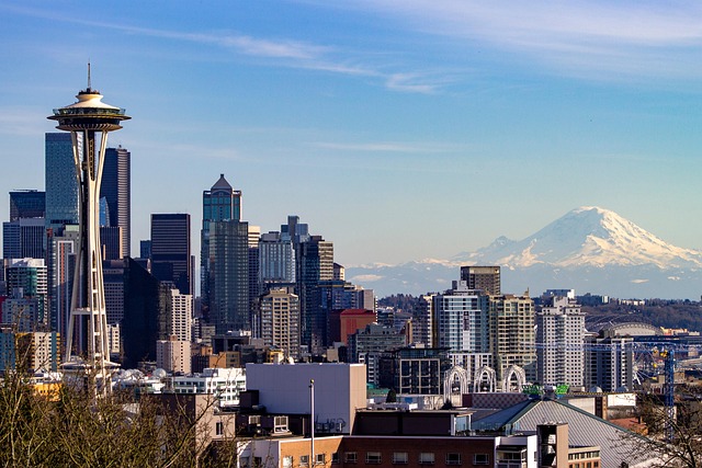 Researching Seattle Daycares Online: Safety & Legal Support