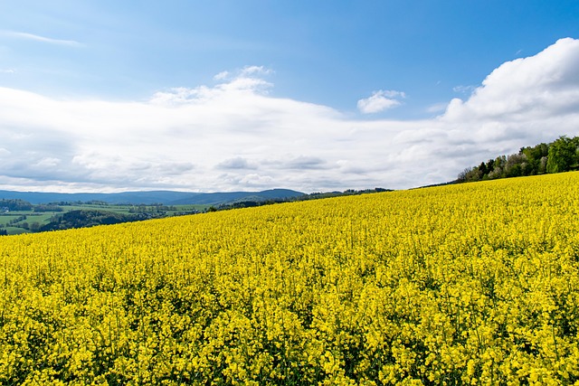 rape Lawyer Portland OR