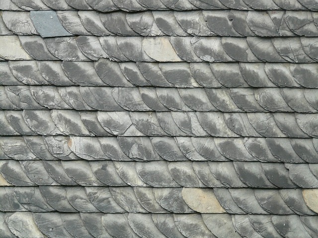 roof-640x480-7010428.jpeg
