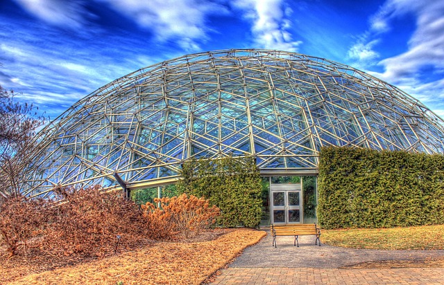 St. Louis MO
