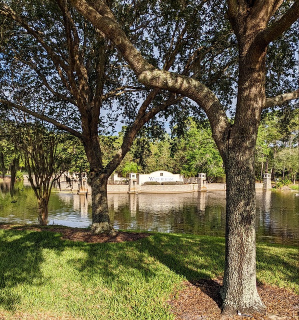 Tampa FL