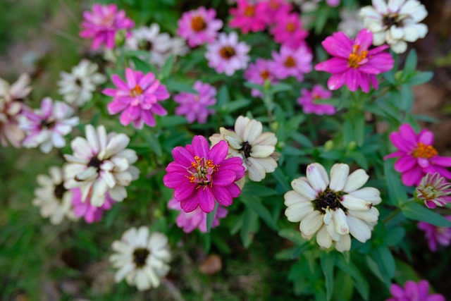 lawyer,lawsuit,Atlanta GA