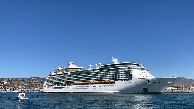 lawyer,lawsuit,cruise ship,Chicago IL