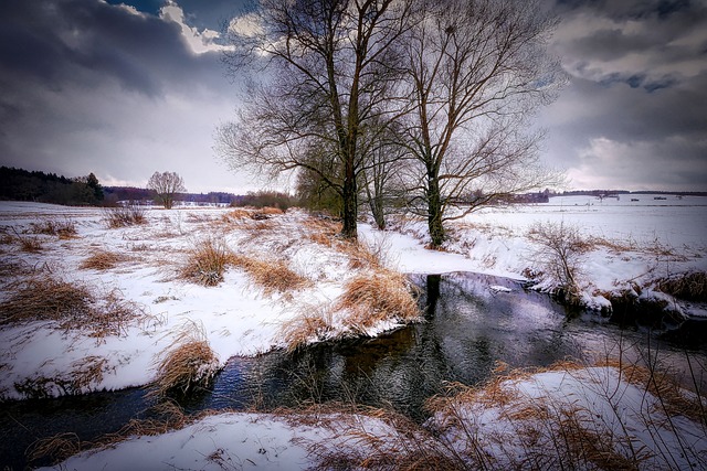 lawyer,lawsuit,cruise ship,Dallas TX