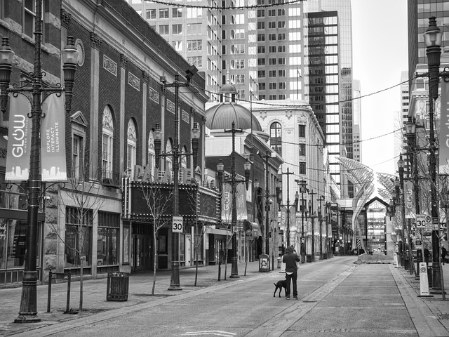 lawyer,lawsuit,cruise ship,Denver CO