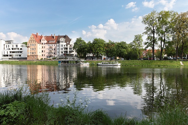 lawyer,lawsuit,cruise ship,Jersey City NJ