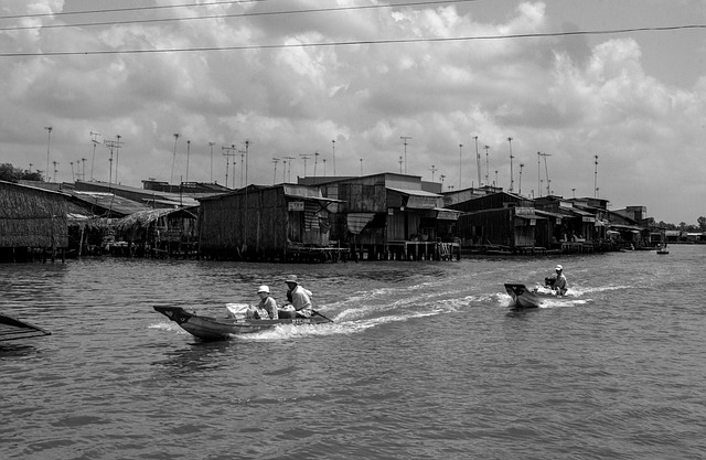 lawyer,lawsuit,cruise ship,Los Angeles CA