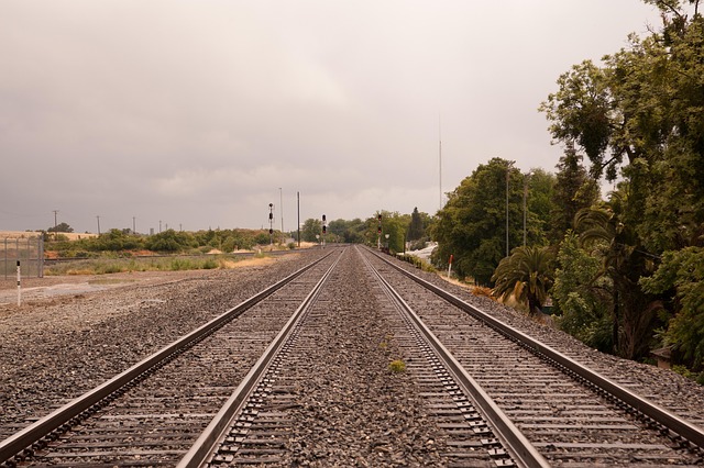 lawyer,lawsuit,cruise ship,Los Angeles CA