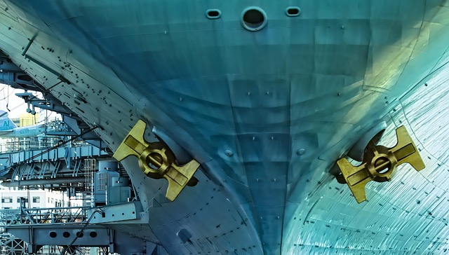 lawyer,lawsuit,cruise ship,San Diego CA