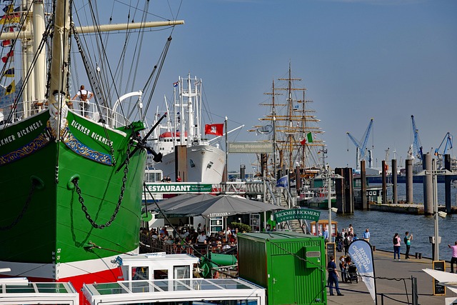 lawyer,lawsuit,cruise ship,San Diego CA