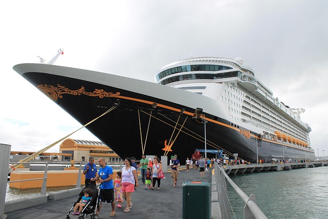 lawyer,lawsuit,cruise ship,San Diego CA