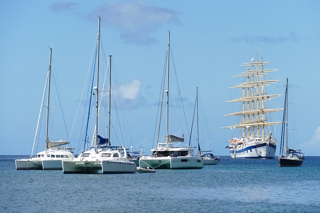 lawyer,lawsuit,cruise ship,St Louis MO