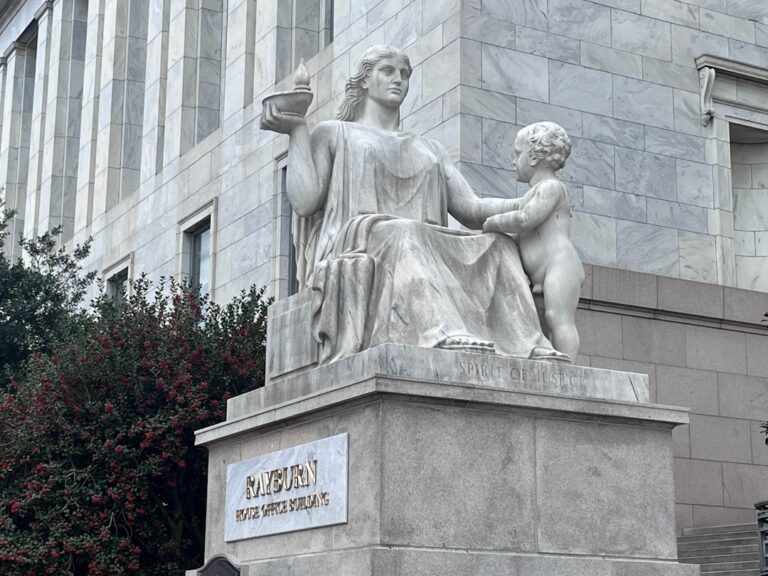 lawyer,lawsuit,Georgia