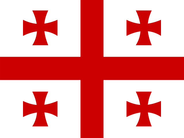 lawyer,lawsuit,Georgia