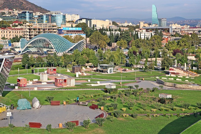 lawyer,lawsuit,Georgia