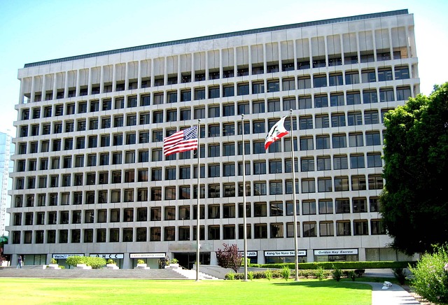 lawyer,lawsuit,Los Angeles CA