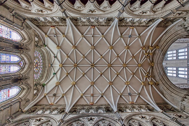 lawyer,lawsuit,New York