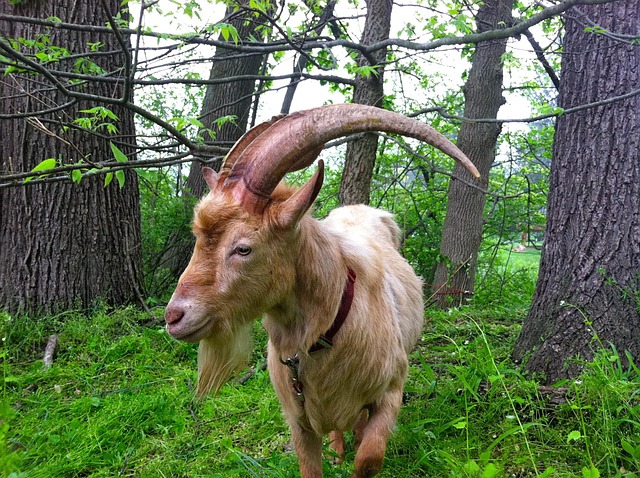 lawyer,lawsuit,Newark NJ