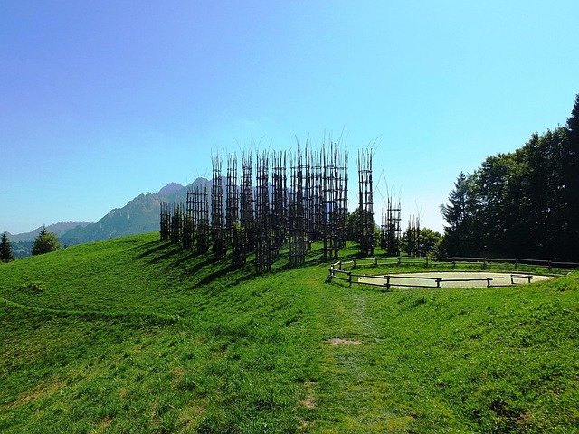 lawyer,lawsuit,nursing home,Chicago IL