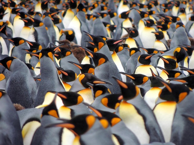 lawyer,lawsuit,nursing home,Georgia