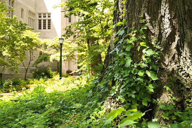 lawyer,lawsuit,nursing home,Indiana