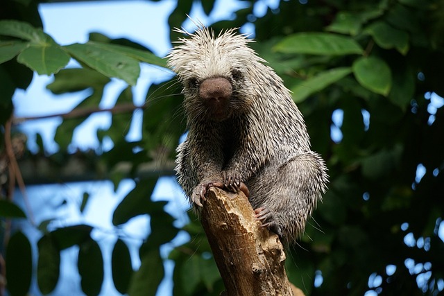 lawyer,lawsuit,nursing home,Indiana