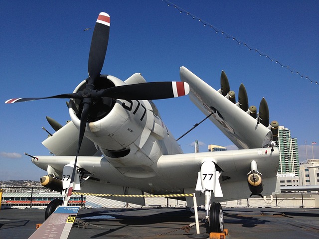 lawyer,lawsuit,nursing home,San Diego CA