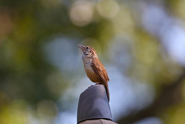 lawyer,lawsuit,nursing home,South Carolina