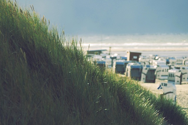 lawyer,lawsuit,Rhode Island