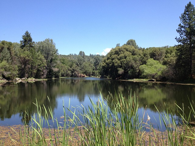 lawyer,lawsuit,San Diego CA