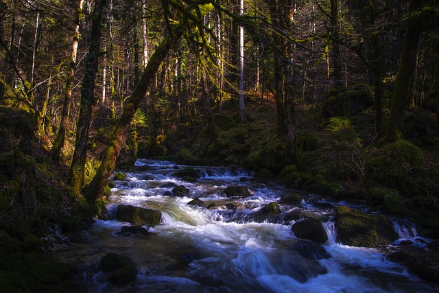 lawyer,lawsuit,San Diego CA