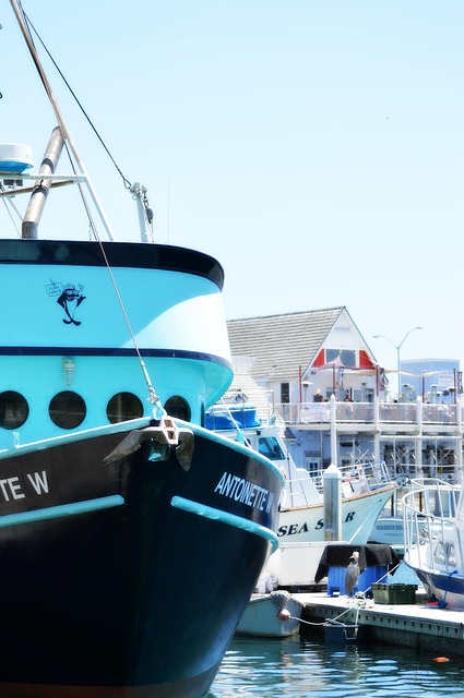 lawyer,lawsuit,San Diego CA