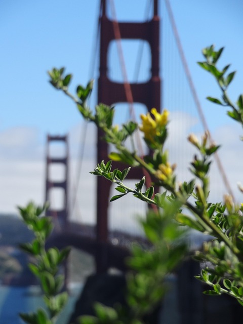 lawyer,lawsuit,San Francisco CA