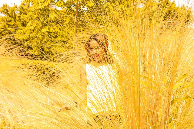 lawyer,lawsuit,South Carolina