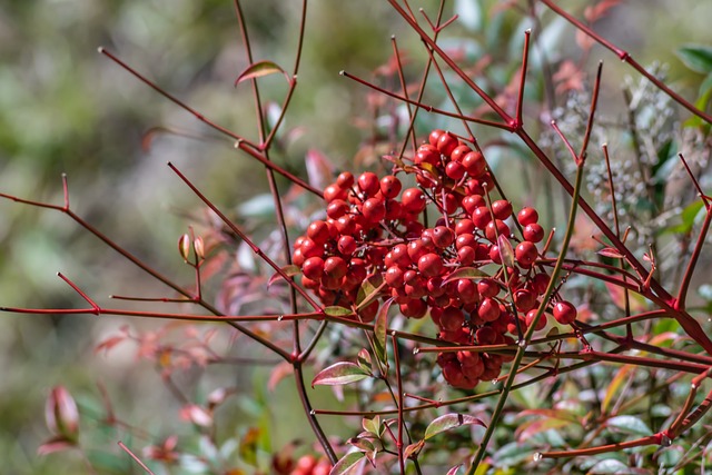 lawyer,lawsuit,South Carolina