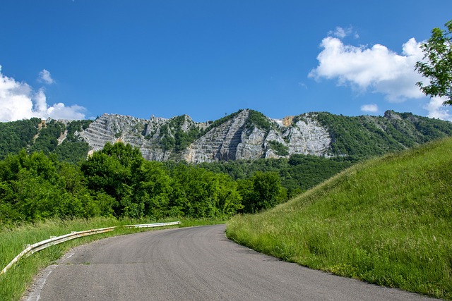 lawyer,lawsuit,St. Louis MO