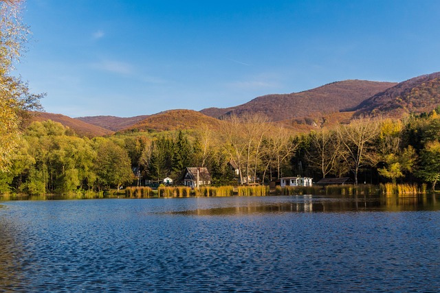 lawyer,lawsuit,St Louis MO