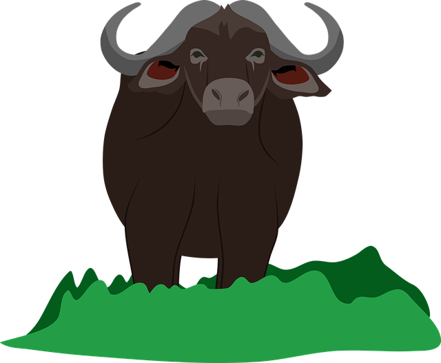 Filing Civil Lawsuit: Doctor Assault in Buffalo with Legal Support