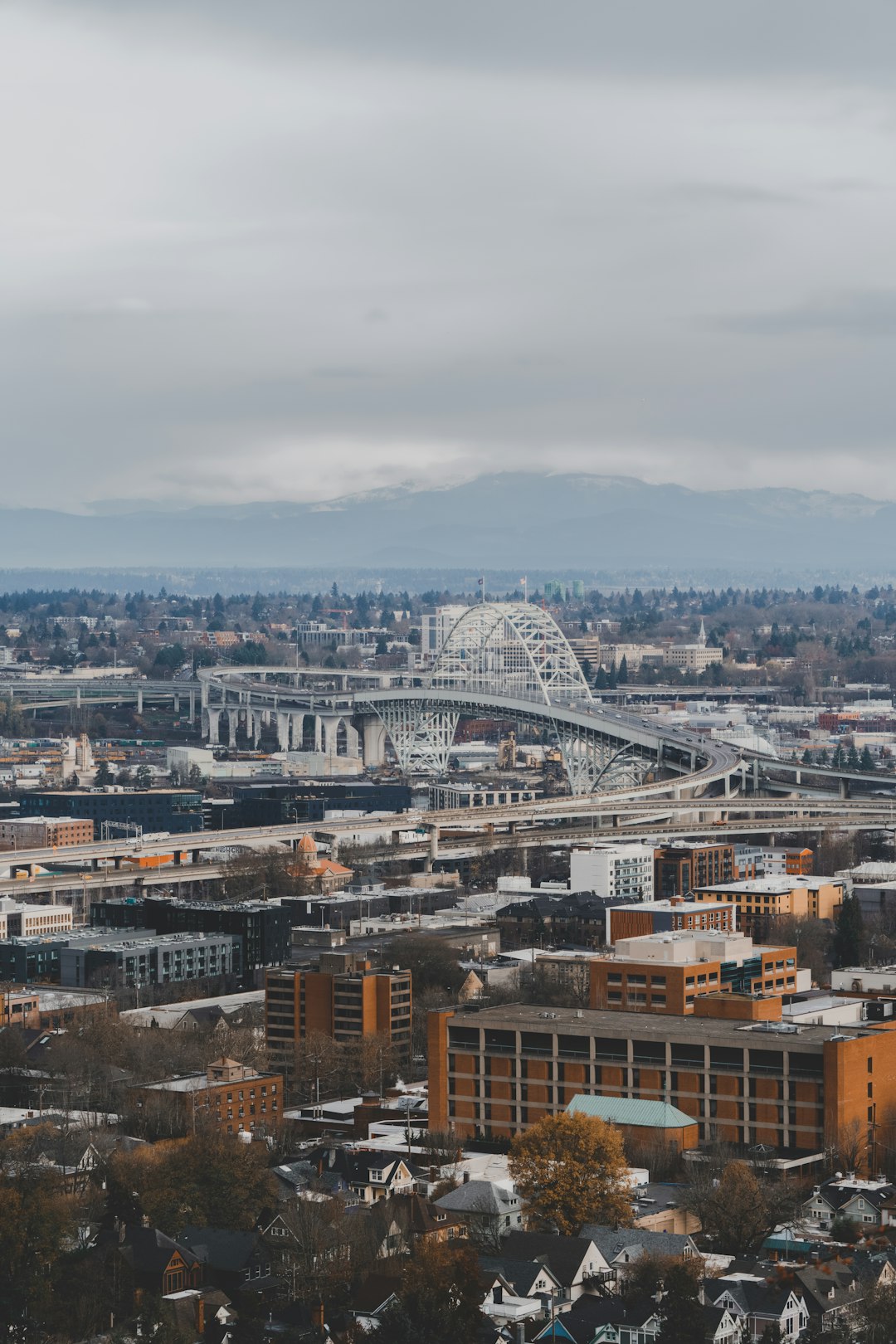 Title IX Attorney Oregon: Fighting Retaliation, Navigating Appeals