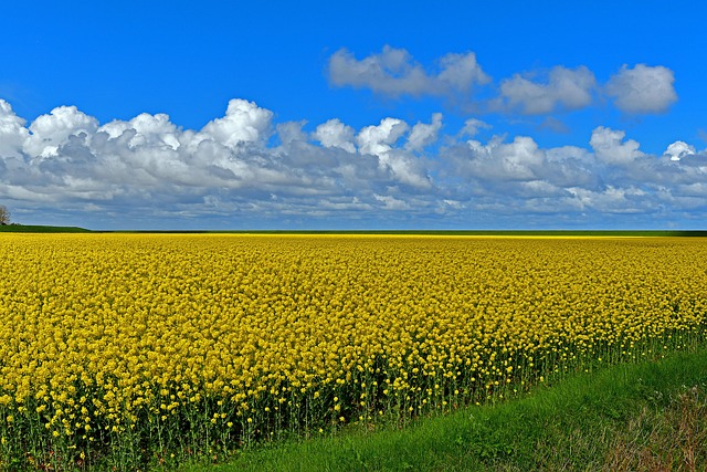 rape attorney Portland OR