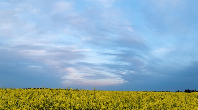 rape attorney Portland OR