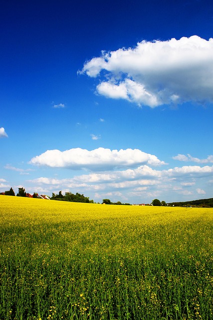 rape law firm Portland OR