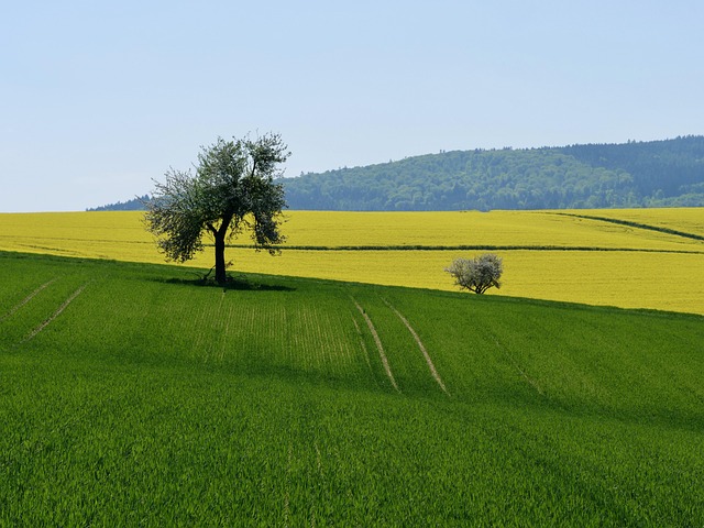 rape lawyers Portland OR