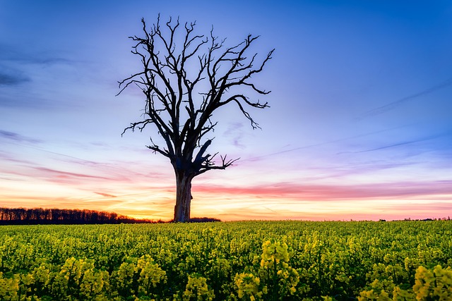 rape lawyers Portland OR